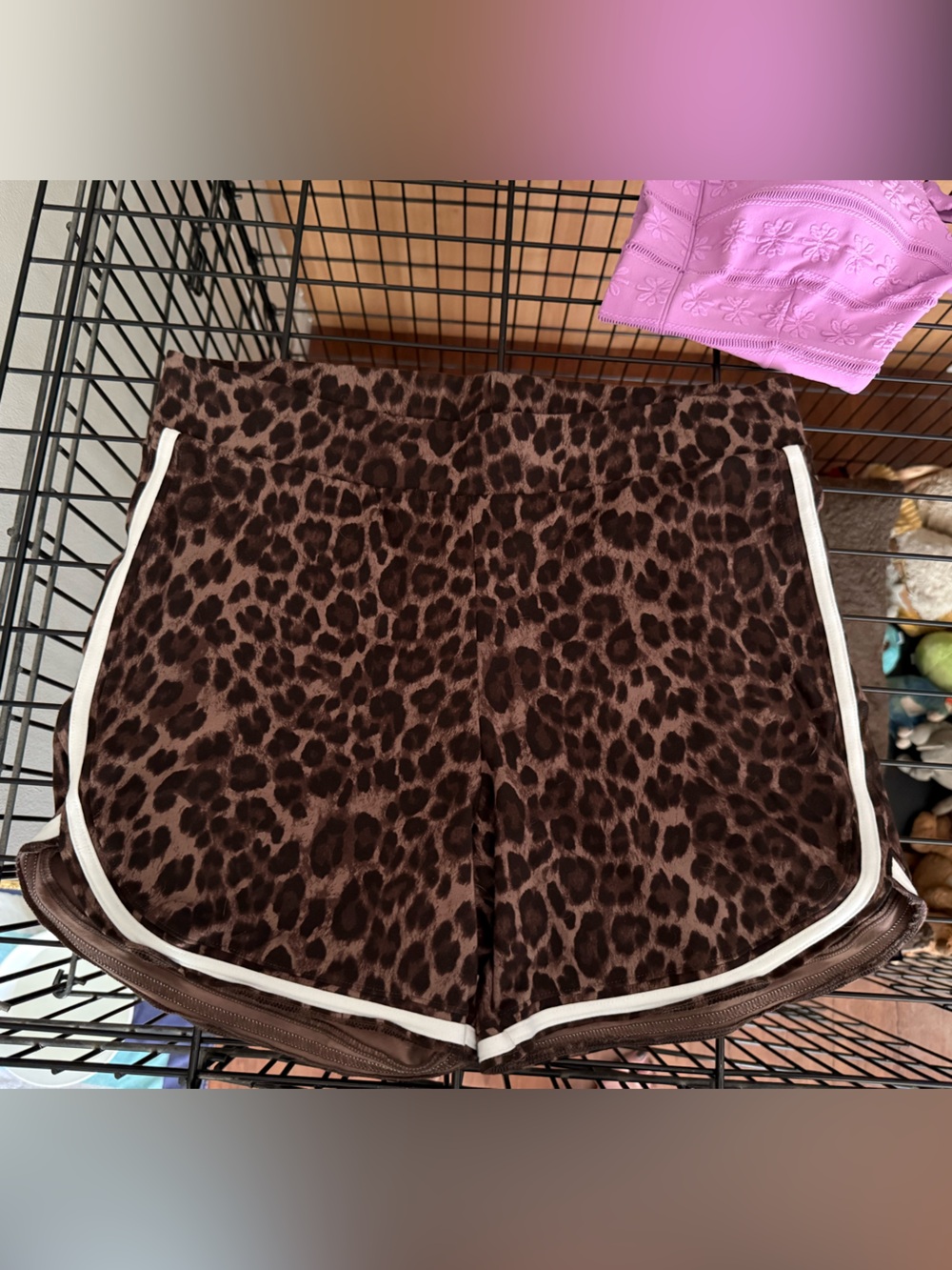 torrid Leopard Print bike Shorts with White Trim